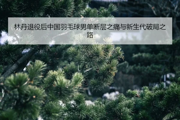 lin-dan-tui-yi-hou-zhong-guo-yu-mao-qiu-nan-dan-duan-ceng-zhi-tong-yu-xin-sheng-dai-po-ju-zhi-lu-2-258.jpg